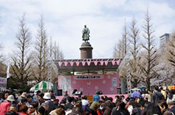 靖国神社 さくらフェスティバル