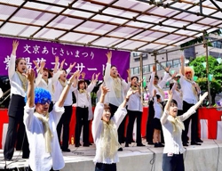文京あじさい祭り @文京区 白山神社