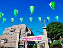 文京あじさい祭り @文京区 白山神社