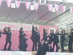 さくらフェスティバル @靖国神社